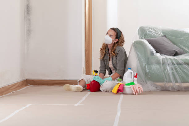 Reliable Mold Removal contractor in Bellevue, WA by Mold Remediation HQ